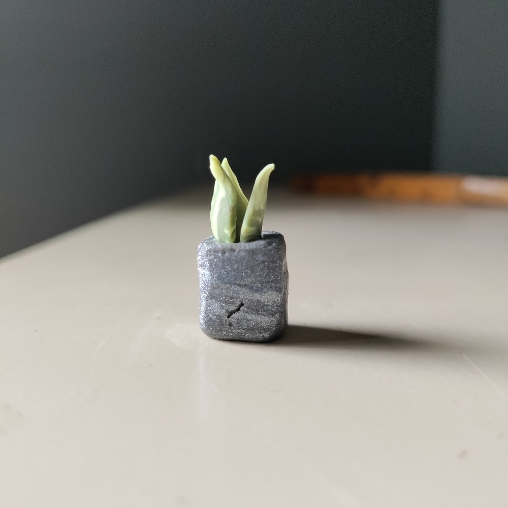 4 mini clay potted plants - Picture 4 of 7